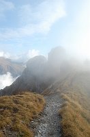 Giro ad anello del Monte Alben (9 novembre 08) - FOTOGALLERY